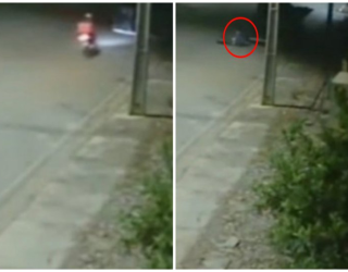 Entregador de 21 anos morre ap�s bater moto em carreta; c�mera registra acidente
